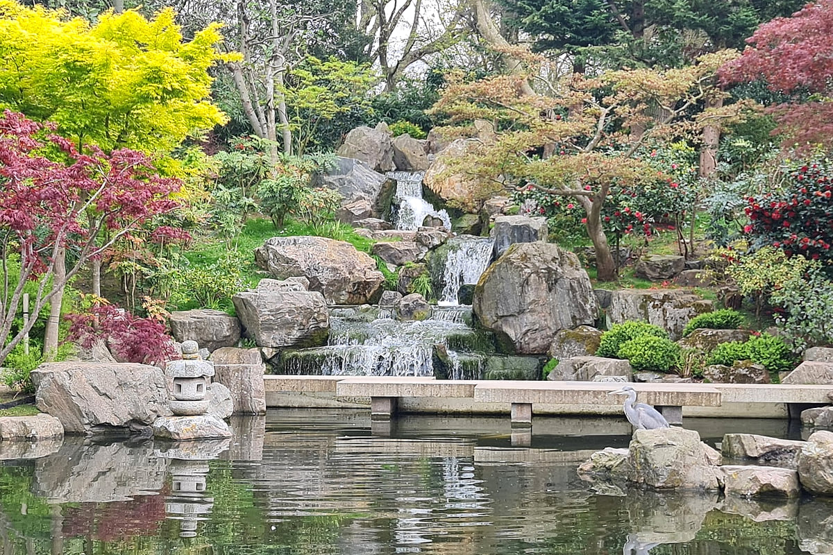 Free Japanese Garden in West London: Kyoto Garden, Holland Park