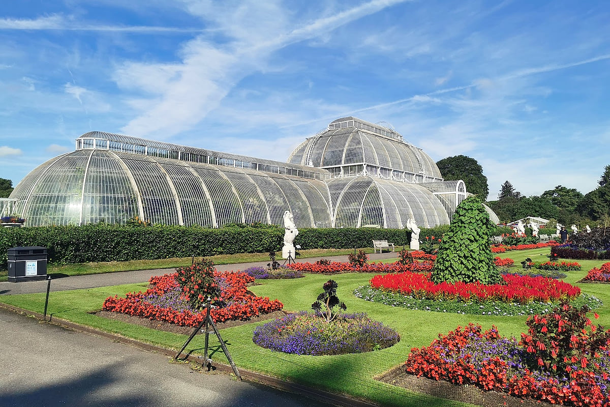 Skip Kew's Pink Tunnel – Free Azaleas Await